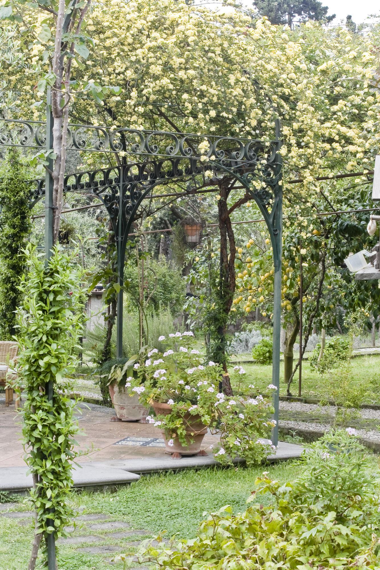 Lidia Bed and breakfast 3*