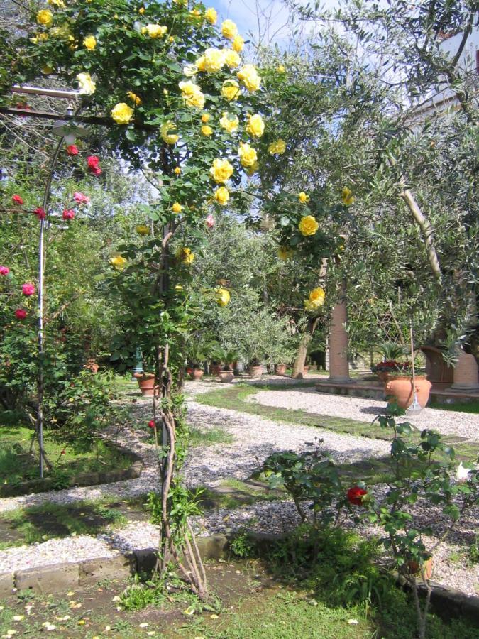 Bed and breakfast Lidia 3*