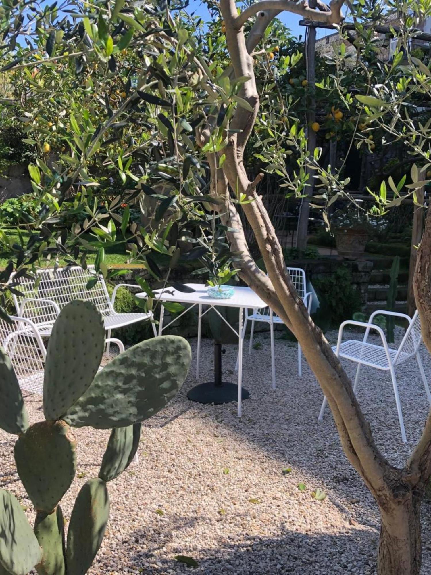 Lidia Bed and breakfast