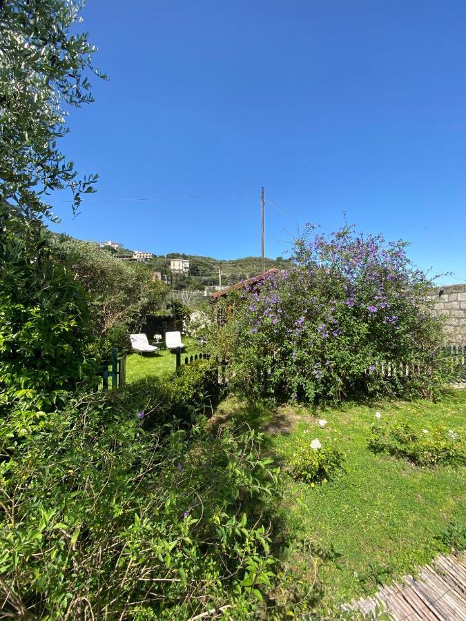 Lidia Bed and breakfast 3*