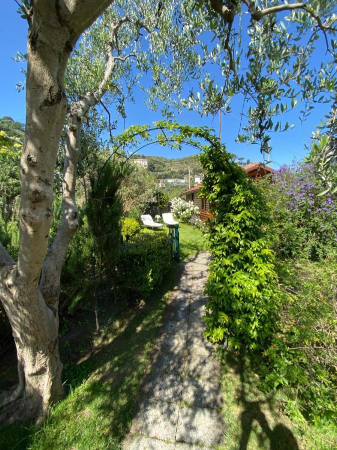 Bed and breakfast Lidia 3*